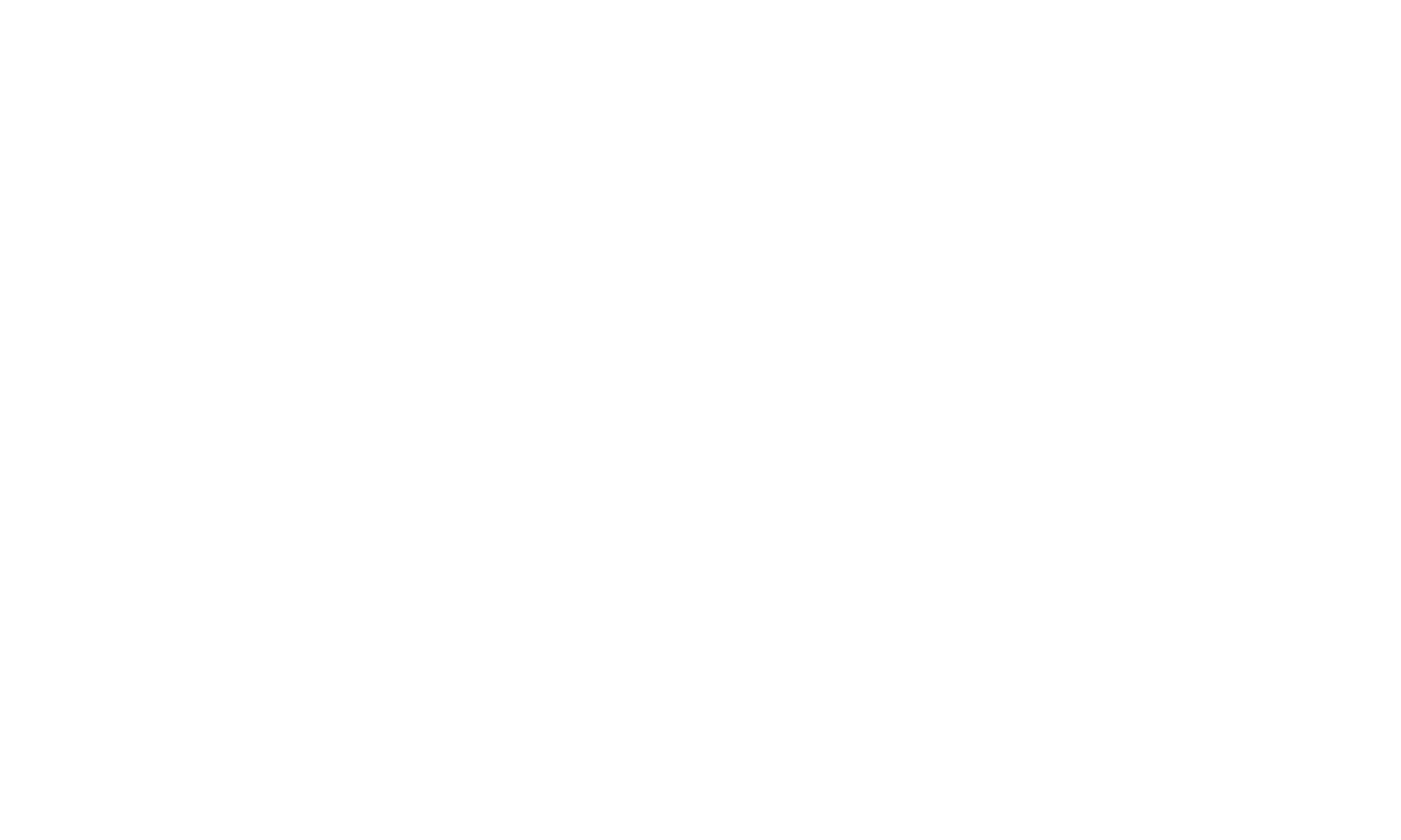 Logo Birkenbeul